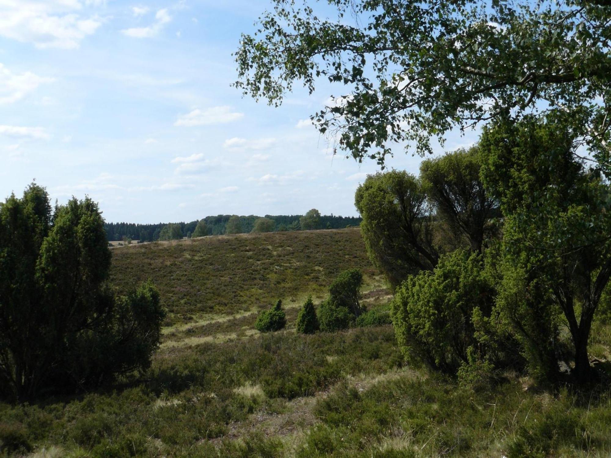 Holiday Home In Wietzendorf In The L Neburg Heath With A View Of The Countryside Esterno foto