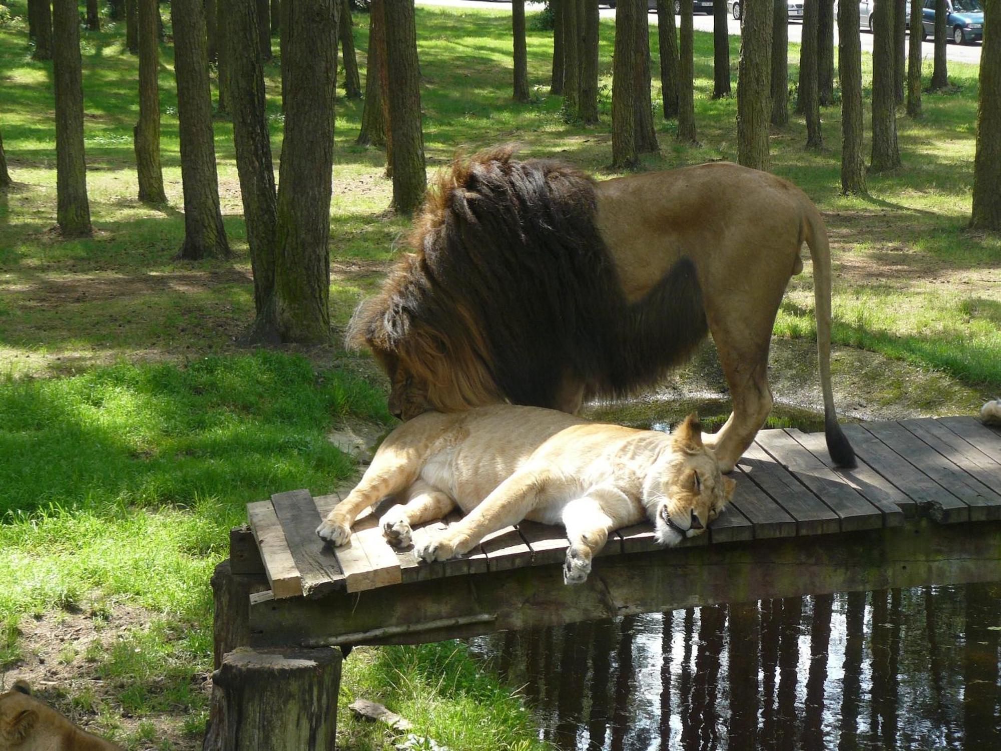 Holiday Home In Wietzendorf In The L Neburg Heath With A View Of The Countryside Esterno foto
