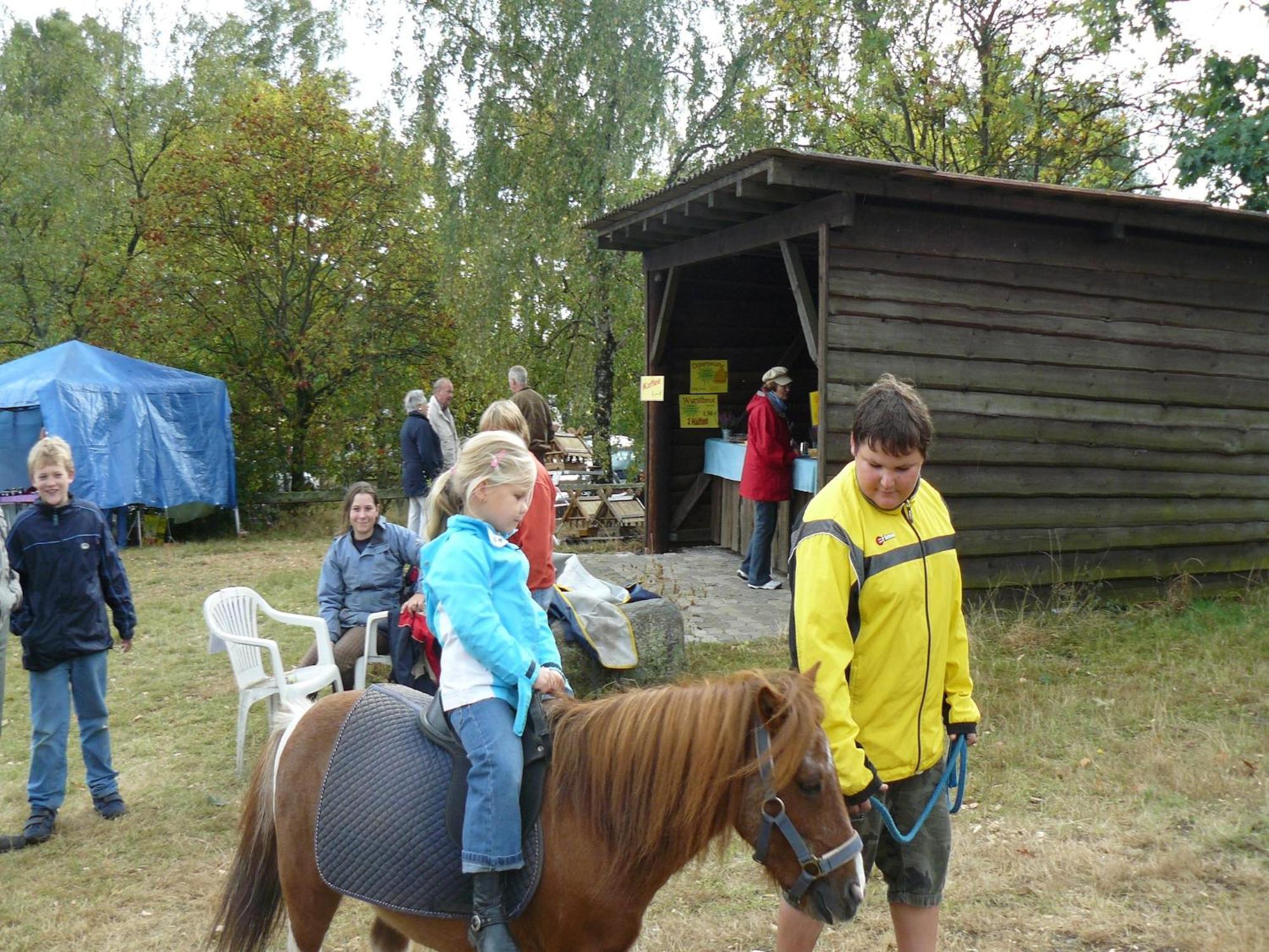 Holiday Home In Wietzendorf In The L Neburg Heath With A View Of The Countryside Esterno foto