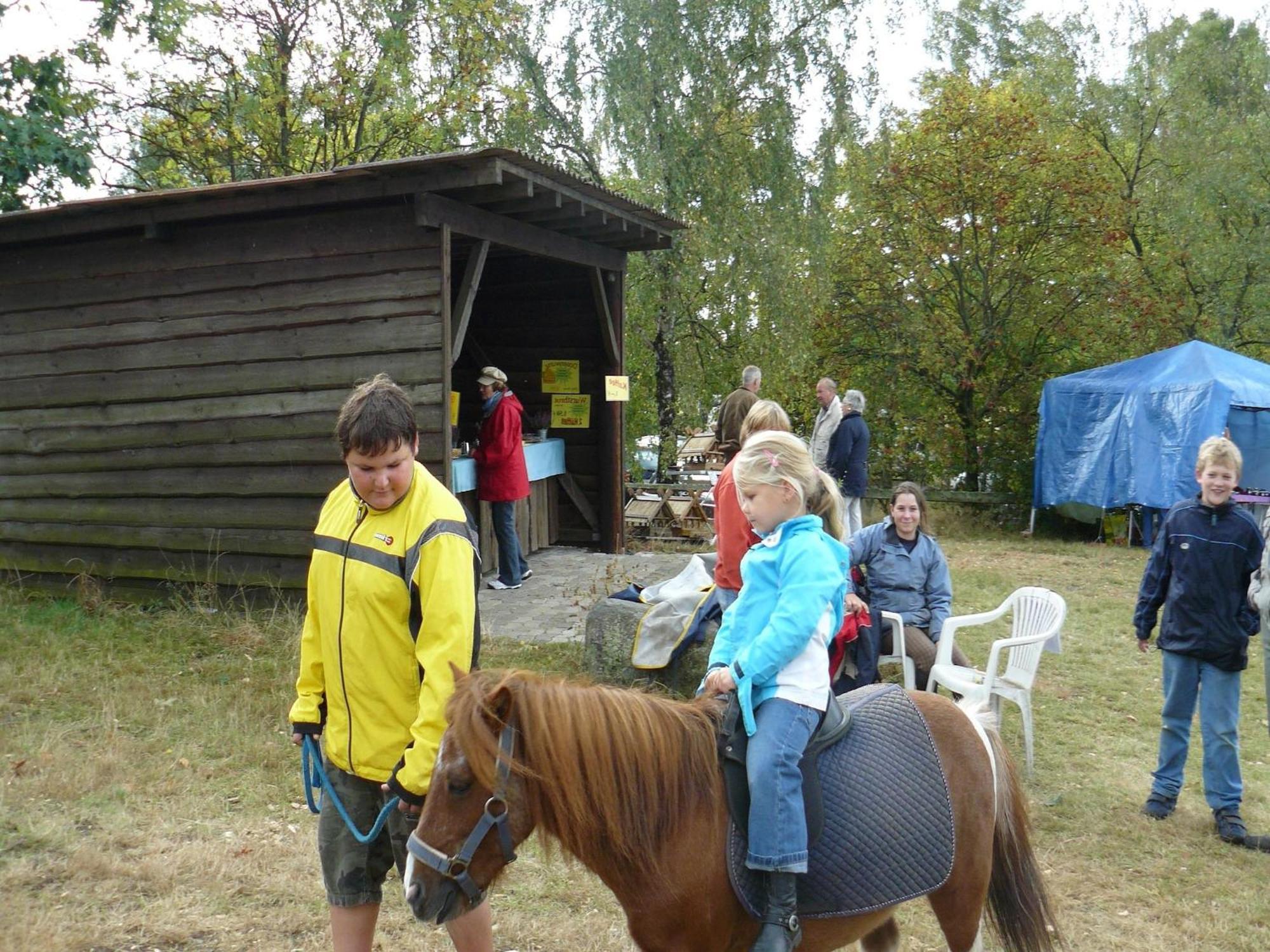 Holiday Home In Wietzendorf In The L Neburg Heath With A View Of The Countryside Esterno foto