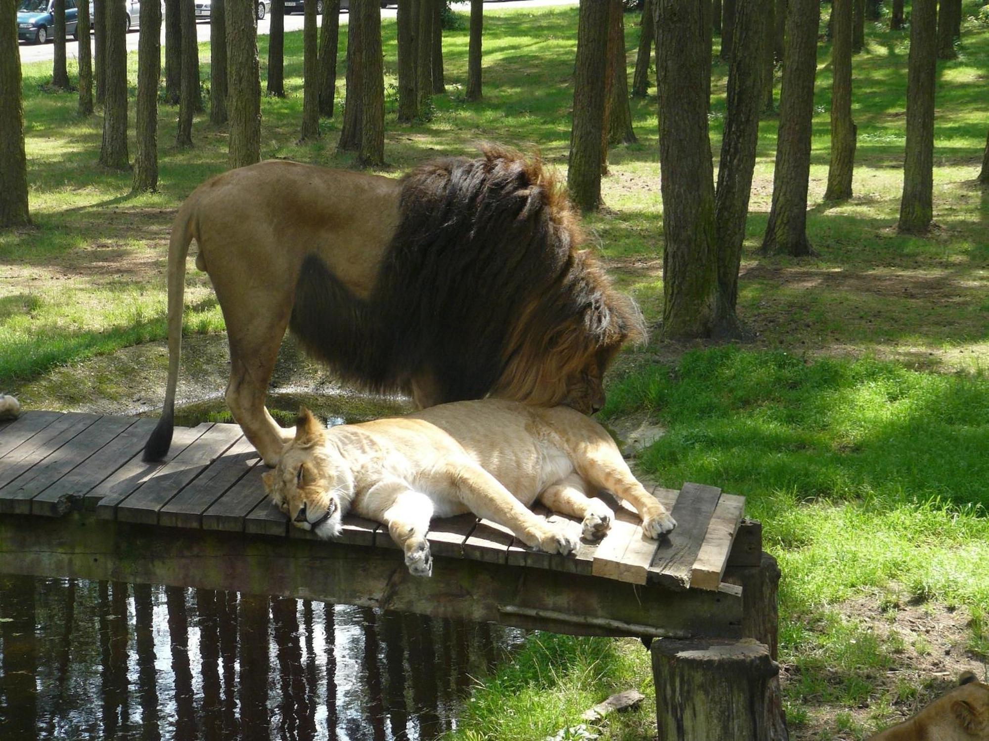 Holiday Home In Wietzendorf In The L Neburg Heath With A View Of The Countryside Esterno foto