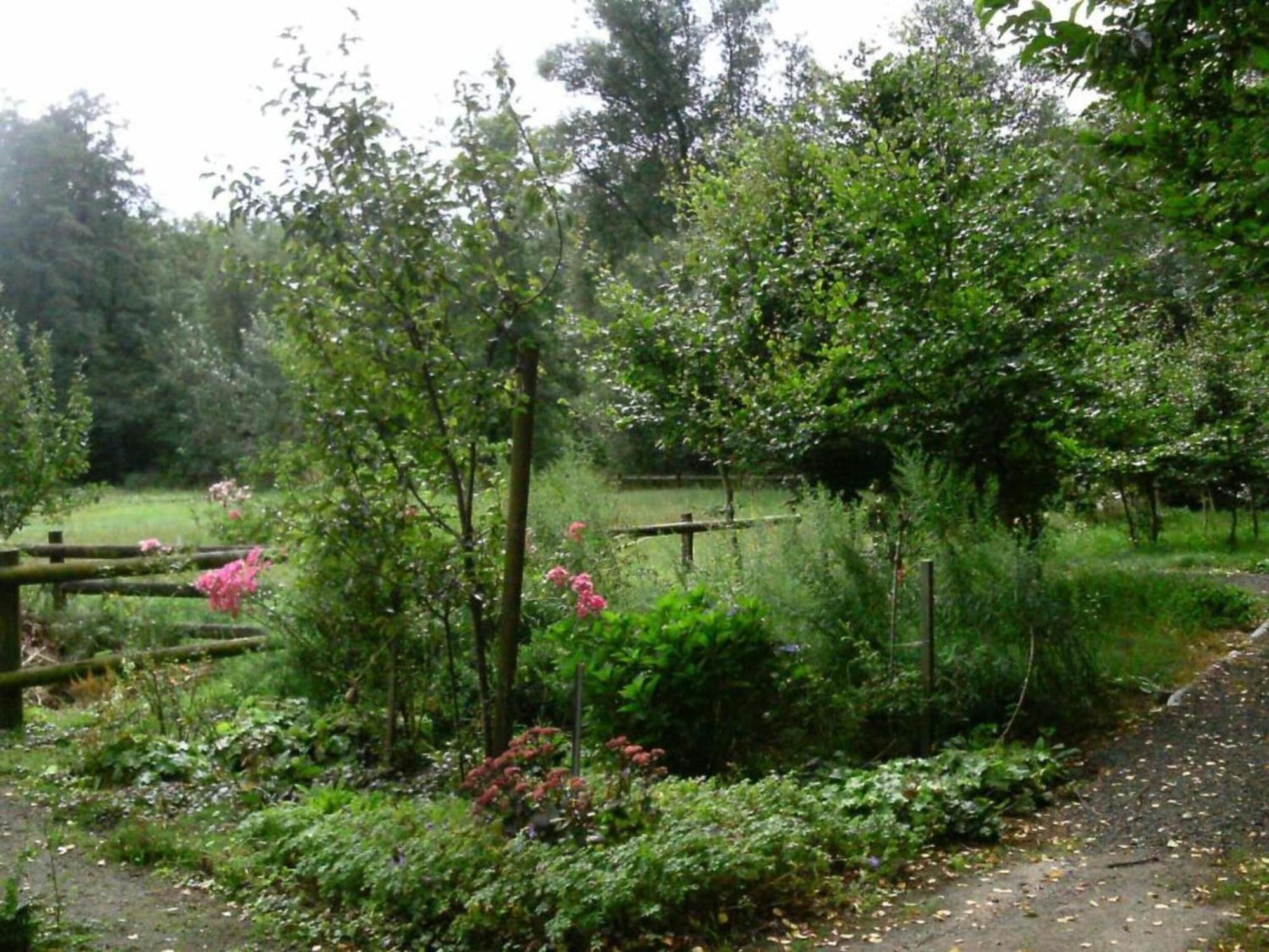 Holiday Home In Wietzendorf In The L Neburg Heath With A View Of The Countryside Esterno foto