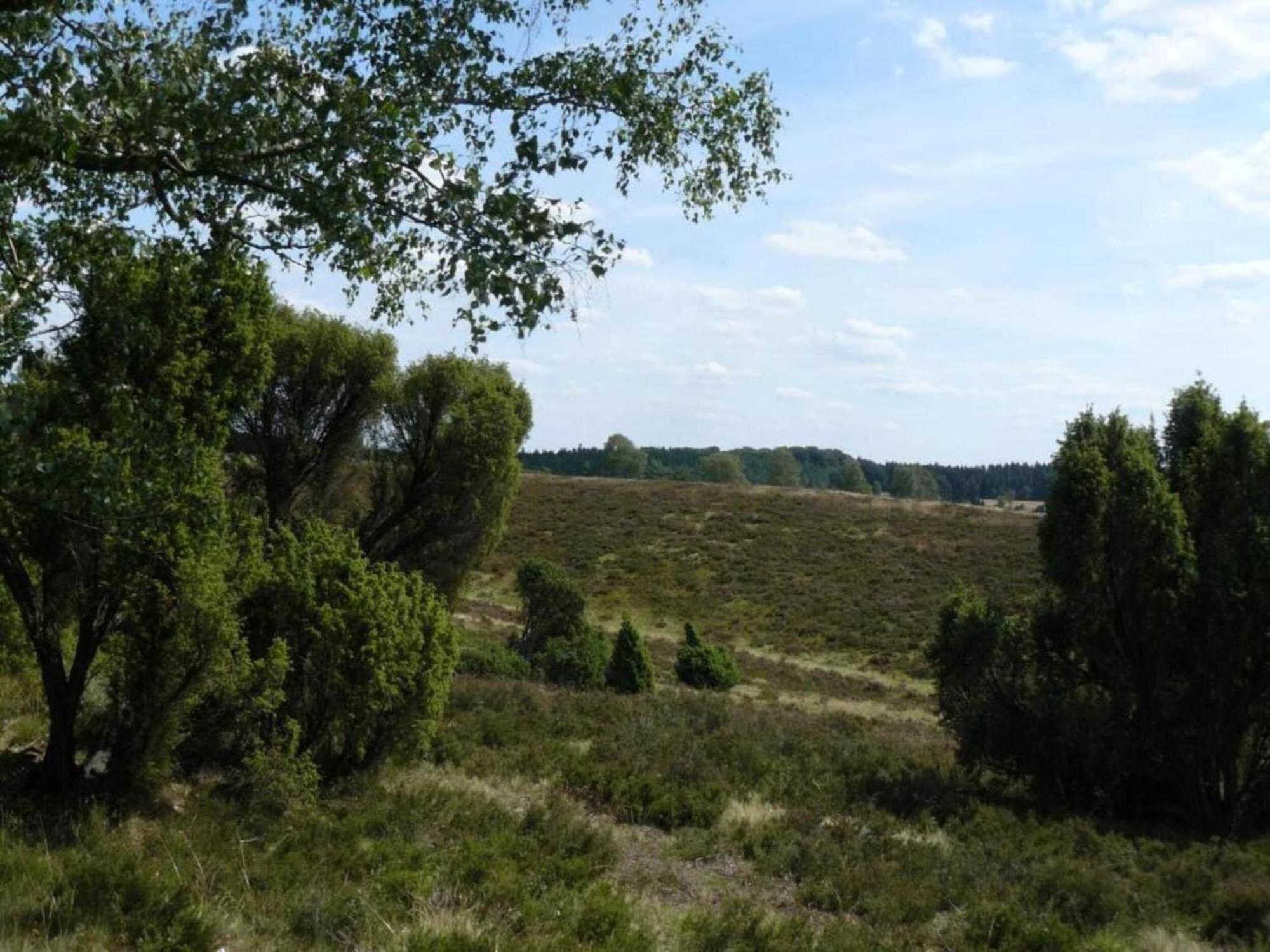 Holiday Home In Wietzendorf In The L Neburg Heath With A View Of The Countryside Esterno foto